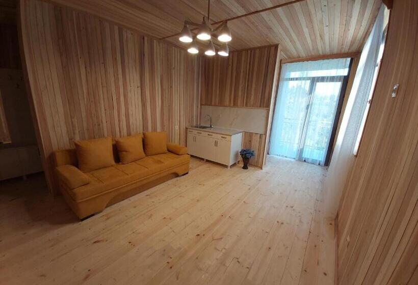 آپارتمان 1 خوابه با بالکن, Mtirala House