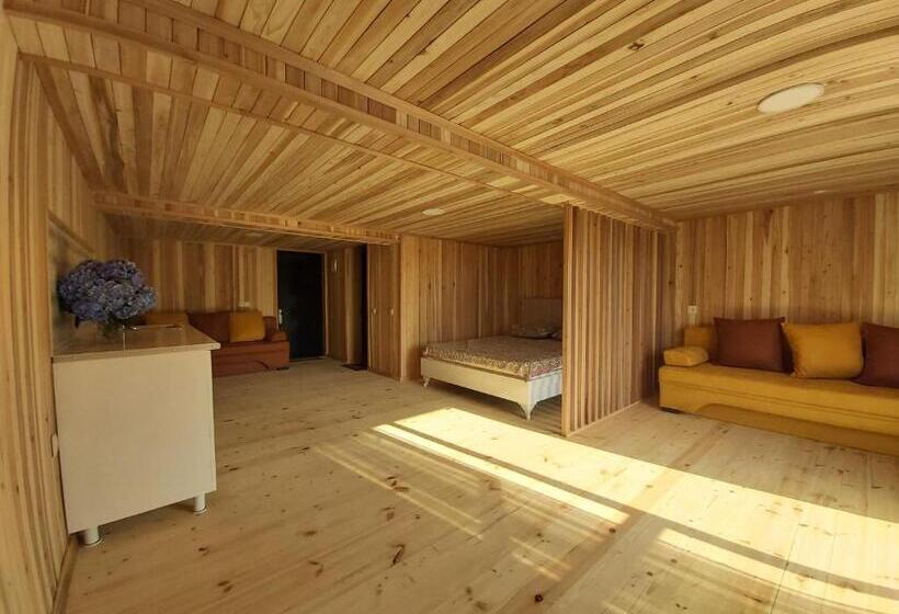 استودیو استاندارد با چشمانداز, Mtirala House