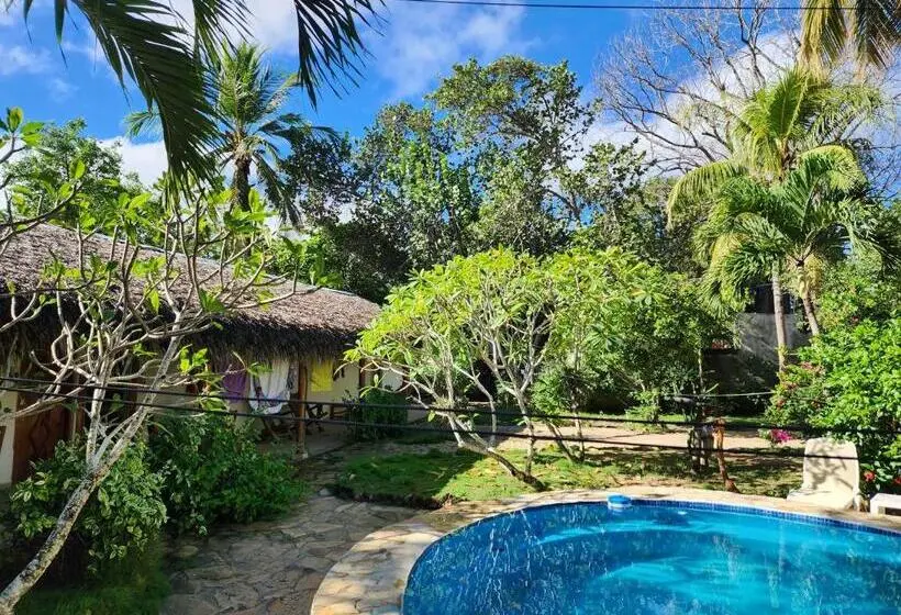اتاق استاندارد چهار تخته, Villa Rosa