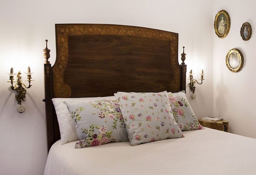 수피리어 룸, Ninho Saloio