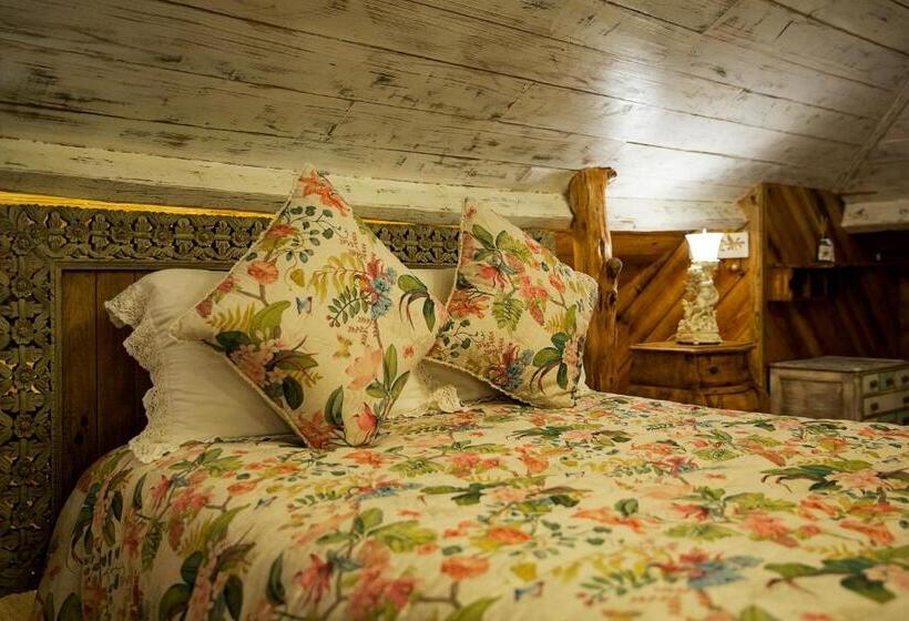 스위트, Ninho Saloio