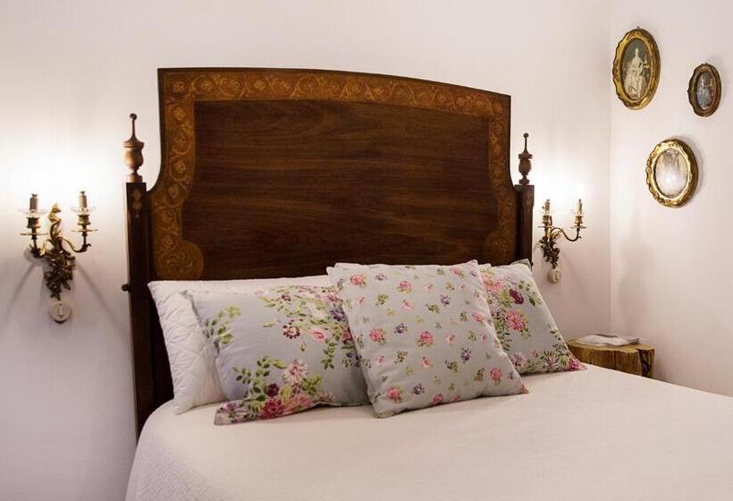 수피리어 룸, Ninho Saloio