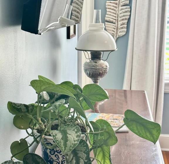 Номер Стандарт, The Holly And Ivy Inn