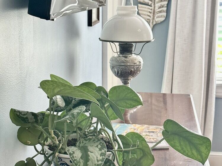 Номер Стандарт, The Holly And Ivy Inn