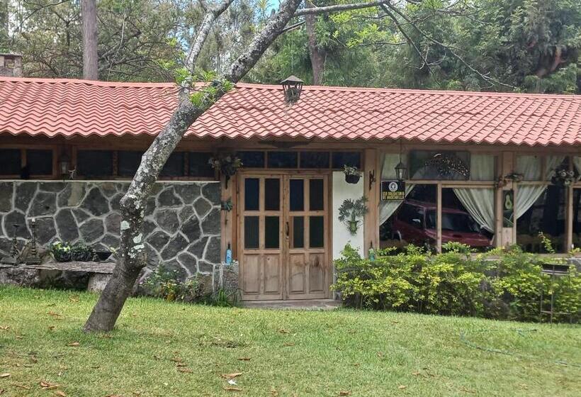 اتاق خانوادگی, Y Bungalows Ecologicos Marcelo