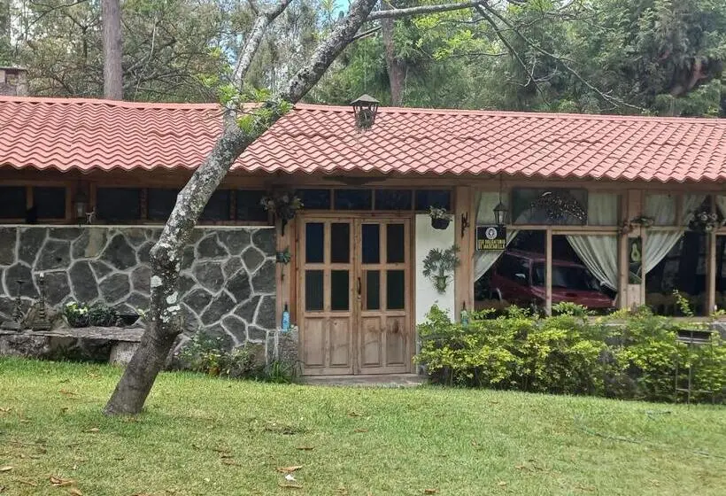 اتاق خانوادگی, Y Bungalows Ecologicos Marcelo