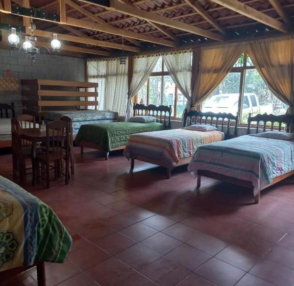 اتاق خانوادگی, Y Bungalows Ecologicos Marcelo