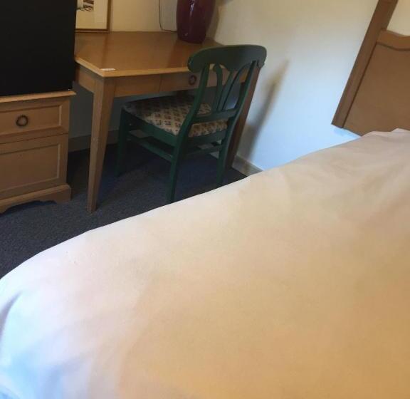 غرفة قياسية فردية, Mt Baker