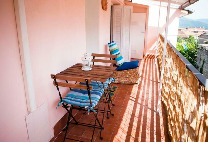 スタンダードルーム, Ambrosia