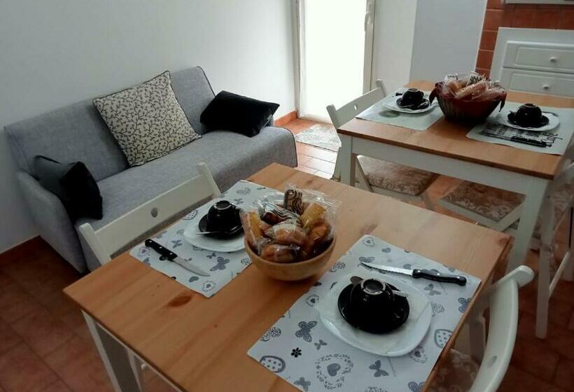 スタンダードルーム, Ambrosia