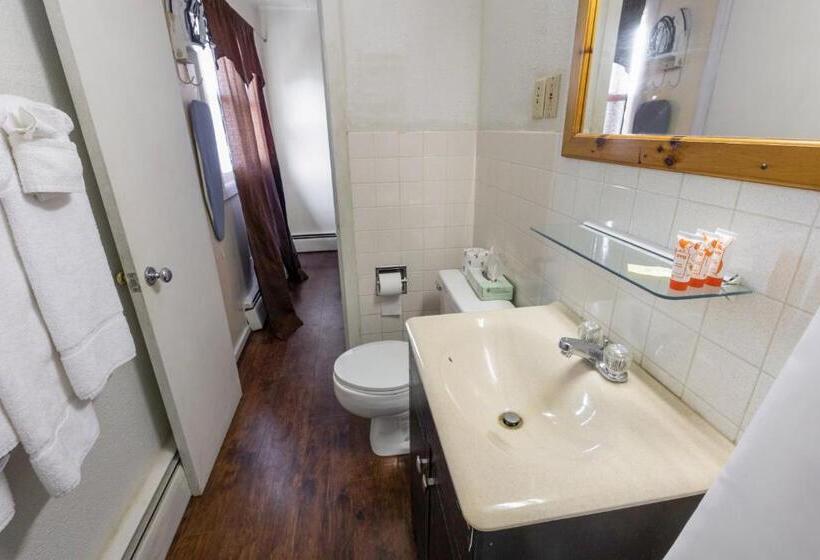 带特大床的标准间, Oyo Hotel Buena Vista Delhi