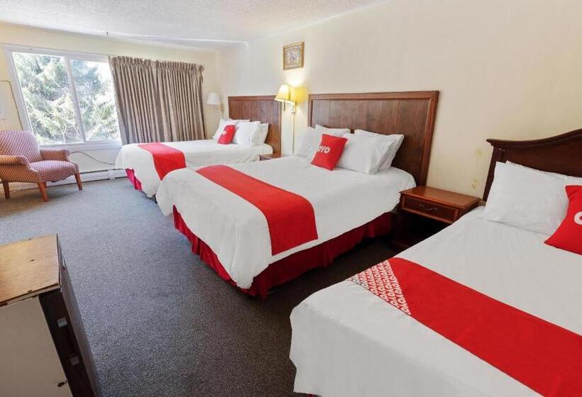 带特大床的标准间, Oyo Hotel Buena Vista Delhi