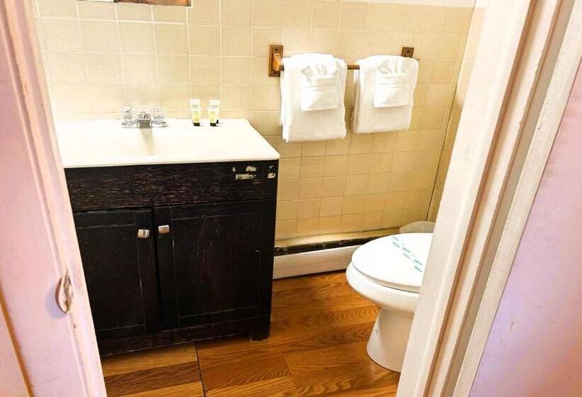 标准间, Oyo Hotel Buena Vista Delhi