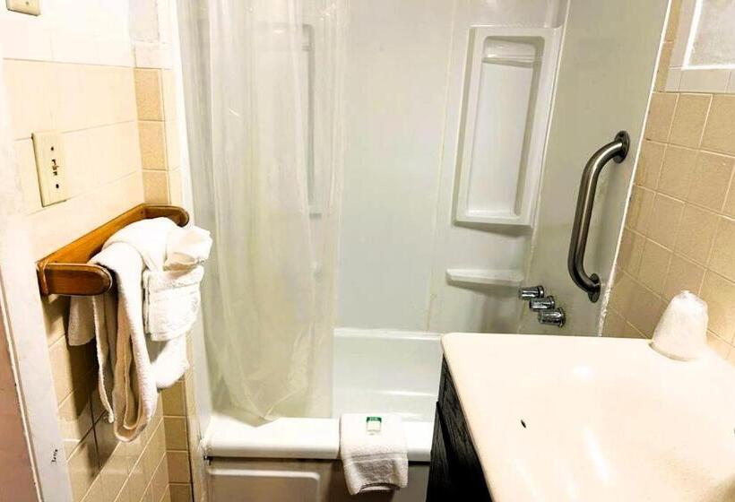 标准间, Oyo Hotel Buena Vista Delhi