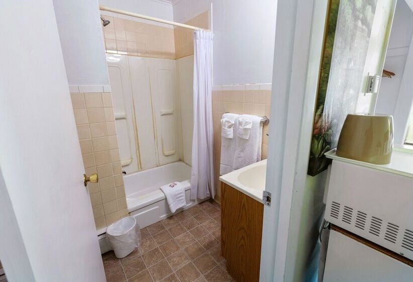 标准间, Oyo Hotel Buena Vista Delhi