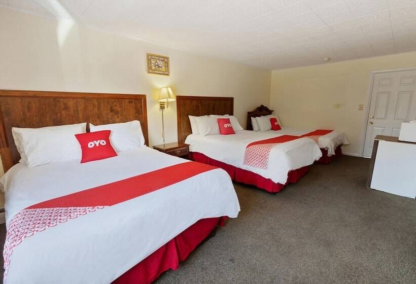 标准间, Oyo Hotel Buena Vista Delhi