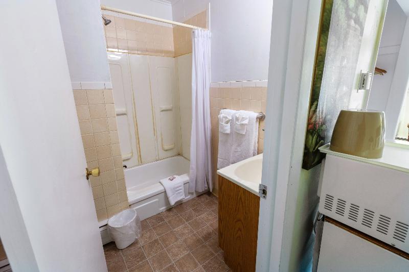 带特大床的标准间, Oyo Hotel Buena Vista Delhi