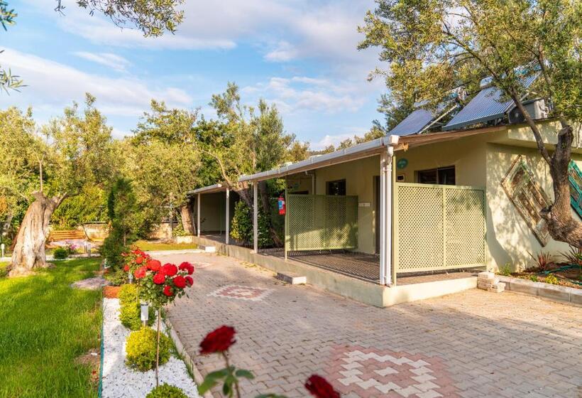 スーペリアールーム, Kayalar Blue Beach