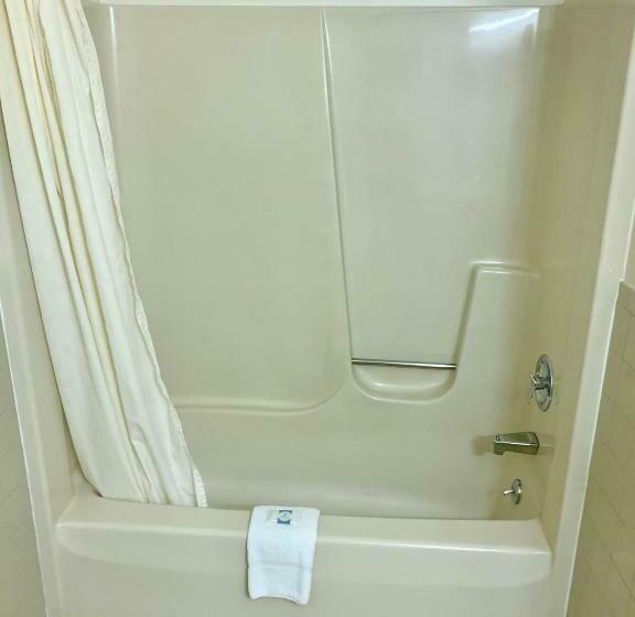 带大床的标准间, Executive Inn