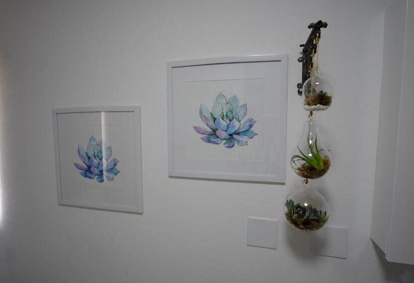 סטודיו דלוקס, Milly S Touch Studios