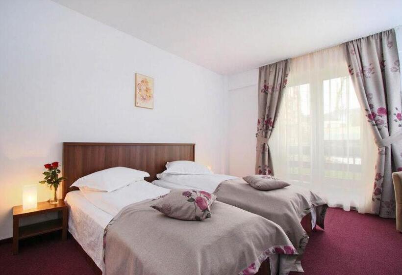 اتاق استاندارد, Domnitei