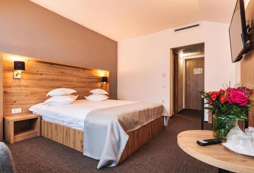 اتاق استاندارد, Domnitei