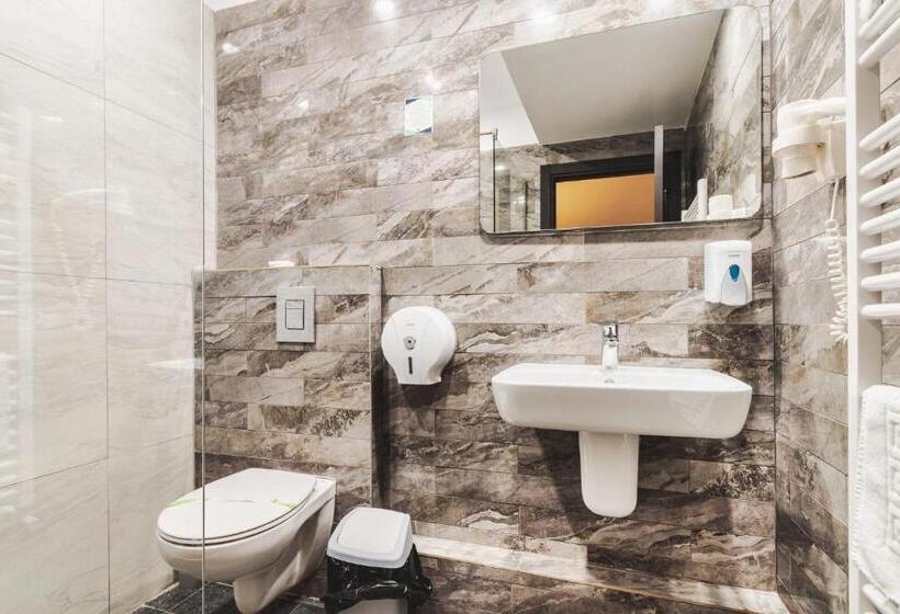 اتاق استاندارد, Domnitei