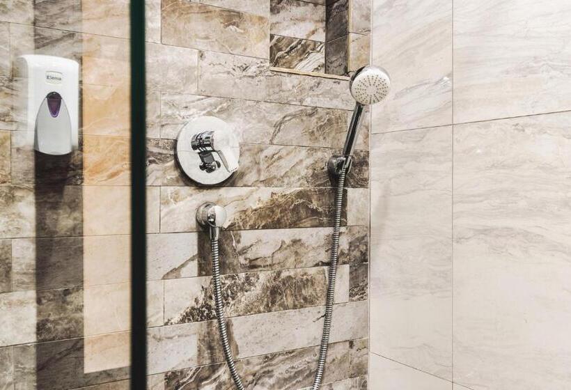 اتاق استاندارد, Domnitei