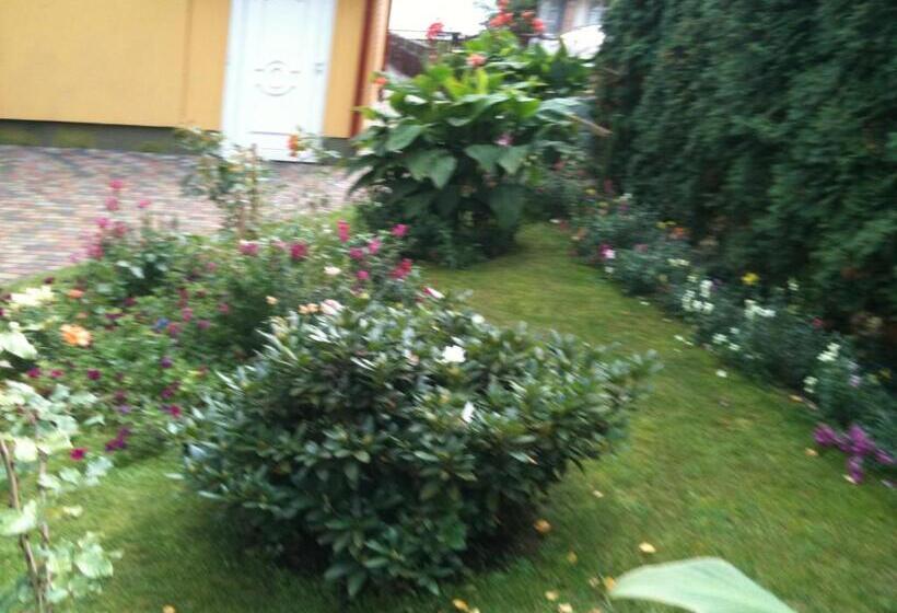 اتاق استاندارد با بالکن, Kurenas