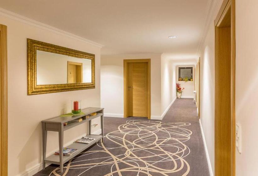 Номер Стандарт, Lang