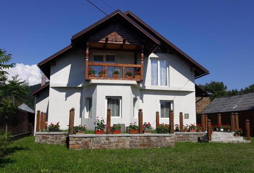 低层单卧公寓, Casa Muntean