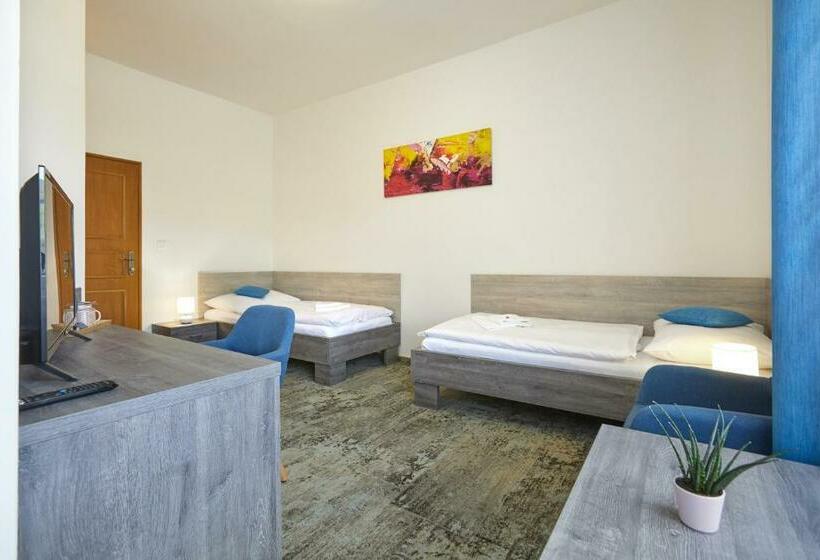 スタンダードルーム, Penzion Vila Tereza