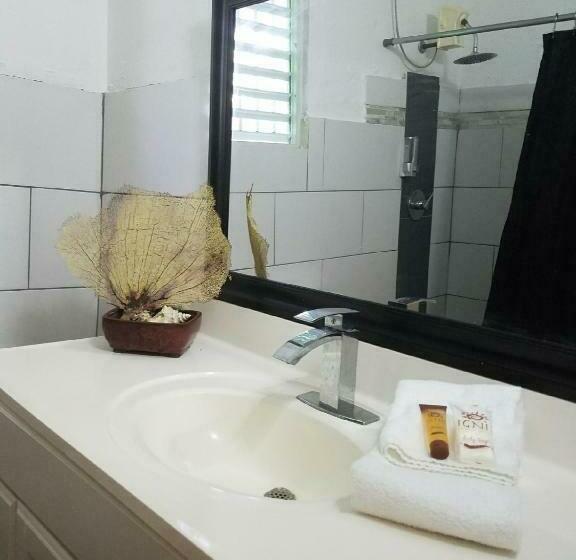 اتاق استاندارد چهارنفره با سرویس بهداشتی مشترک, Vieques Good Vibe Guest House