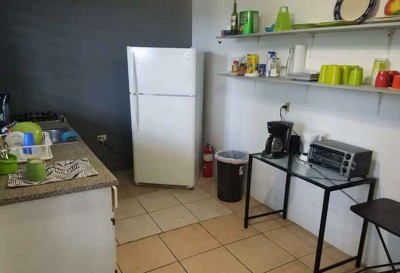 اتاق استاندارد چهارنفره با سرویس بهداشتی مشترک, Vieques Good Vibe Guest House