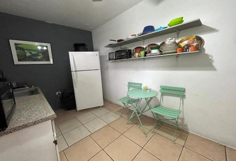 اتاق استاندارد چهارنفره با سرویس بهداشتی مشترک, Vieques Good Vibe Guest House