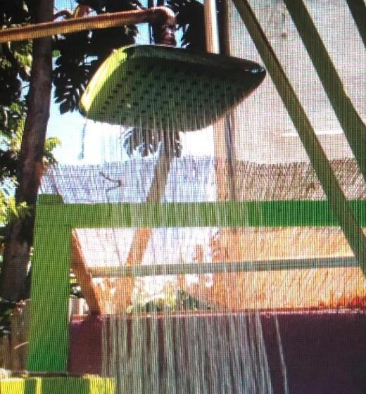 اتاق استاندارد چهارنفره با سرویس بهداشتی مشترک, Vieques Good Vibe Guest House