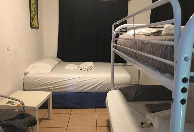 اتاق استاندارد چهارنفره با سرویس بهداشتی مشترک, Vieques Good Vibe Guest House