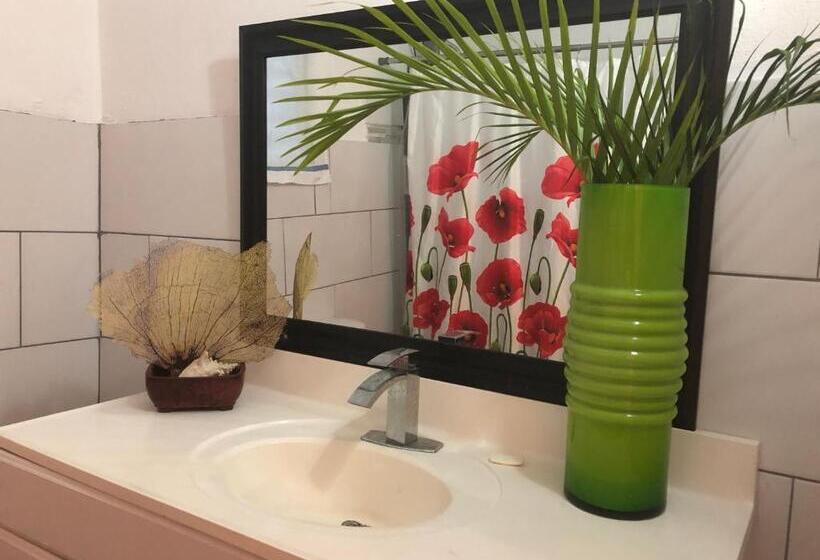 اتاق خانوادگی با سرویس بهداشتی مشترک, Vieques Good Vibe Guest House