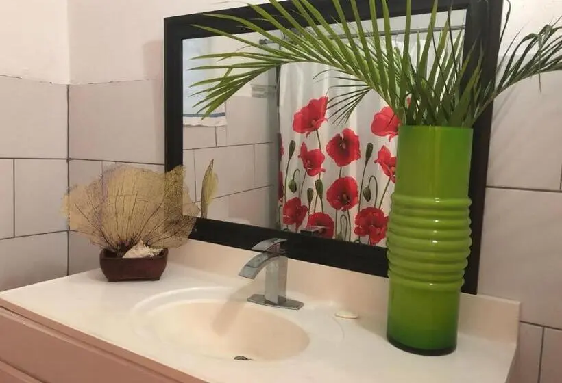 اتاق خانوادگی با سرویس بهداشتی مشترک, Vieques Good Vibe Guest House