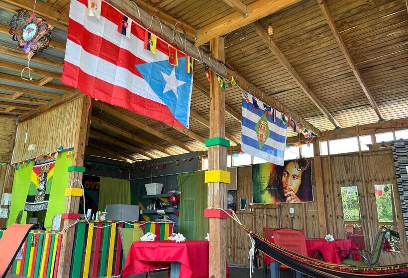 اتاق خانوادگی با سرویس بهداشتی مشترک, Vieques Good Vibe Guest House