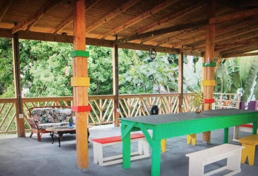 اتاق اکونومی, Vieques Good Vibe Guest House