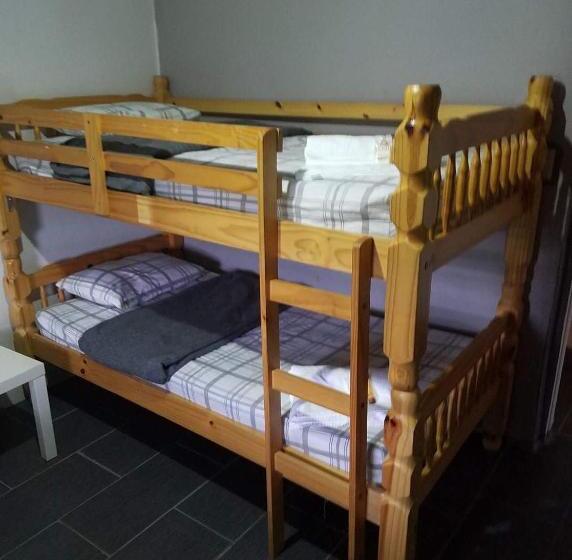 اتاق استاندارد چهارنفره با سرویس بهداشتی مشترک, Vieques Good Vibe Guest House