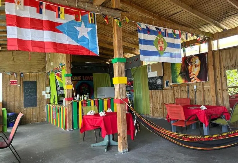 اتاق استاندارد چهارنفره با سرویس بهداشتی مشترک, Vieques Good Vibe Guest House