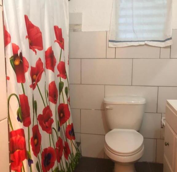 اتاق خانوادگی با سرویس بهداشتی مشترک, Vieques Good Vibe Guest House