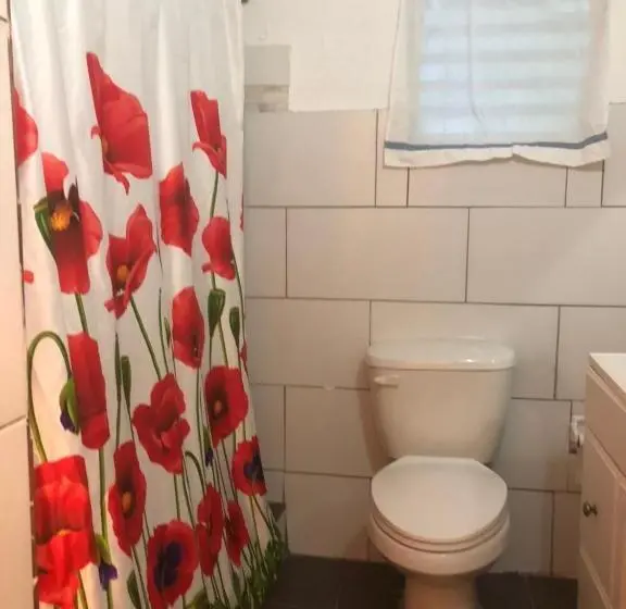 اتاق خانوادگی با سرویس بهداشتی مشترک, Vieques Good Vibe Guest House