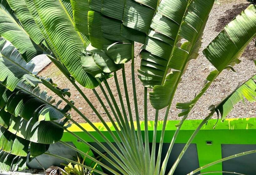 اتاق اکونومی, Vieques Good Vibe Guest House