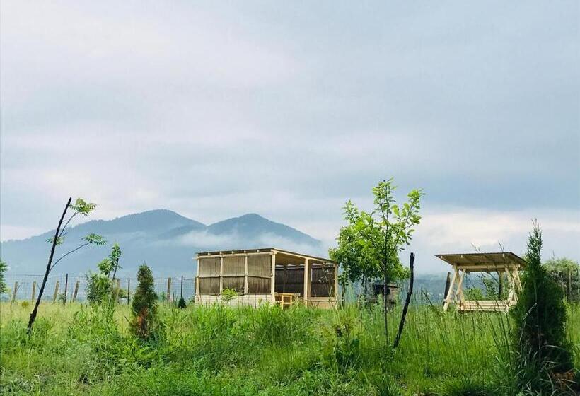 וילה בת 3 חדרי שינה, Vila Blanca