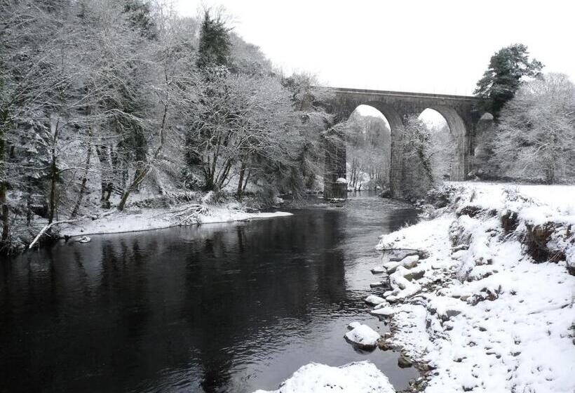 スタンダードトリプルルーム, Stirabout Lane B&b