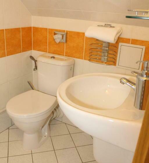اتاق استاندارد, Zámecký Hotel Zlatý Orel