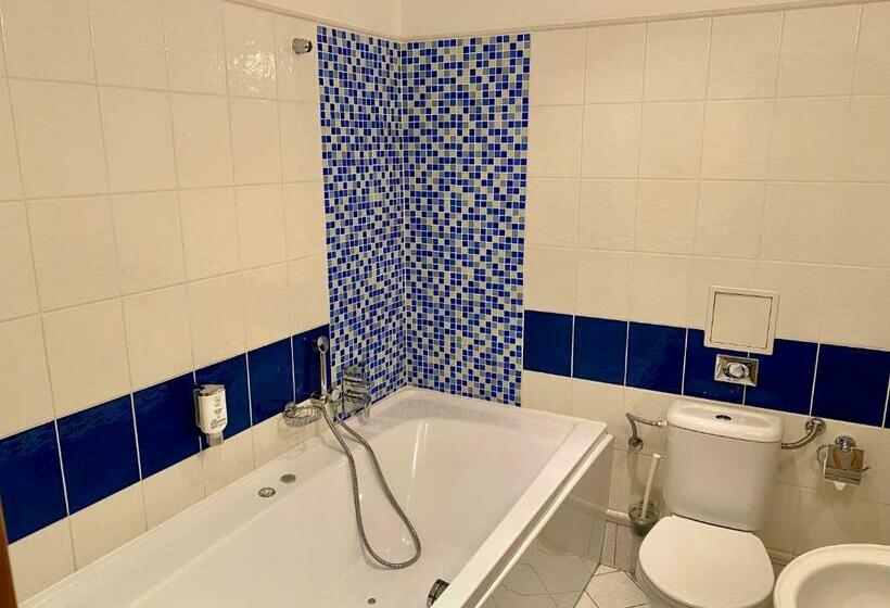 اتاق استاندارد با تخت بزرگ, Zámecký Hotel Zlatý Orel